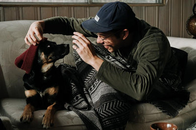 Dogs of Muttonhead